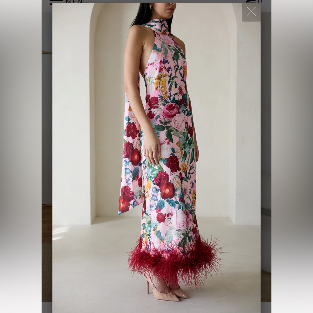 NWT Vasiliki Maliya Feather Dress in Petal Muse
